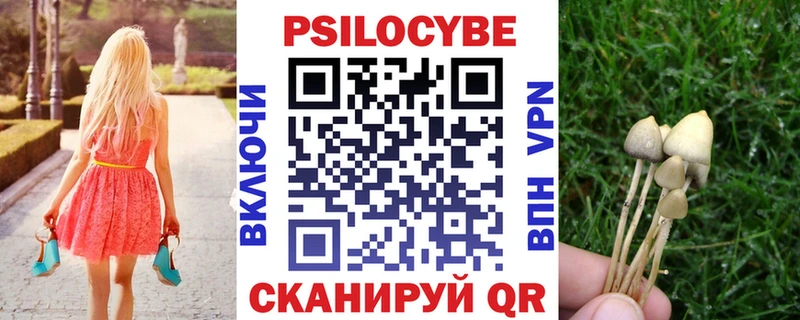 Псилоцибиновые грибы GOLDEN TEACHER  Дятьково 